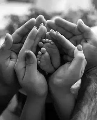 Motifs - illustration