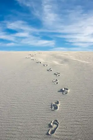 Anaïs Réflexologie - illustration